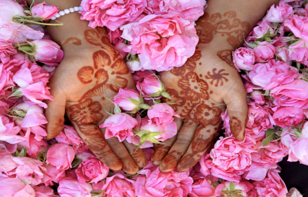 Valley-of-Roses-Tour-El-Kellat-Des-Mgouna-Travel-Exploration-Morocco_ljbs9ltc3bp9
