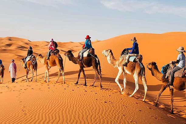 balade-dos-de-dromadaire-desert